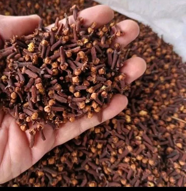 Clove Seeds